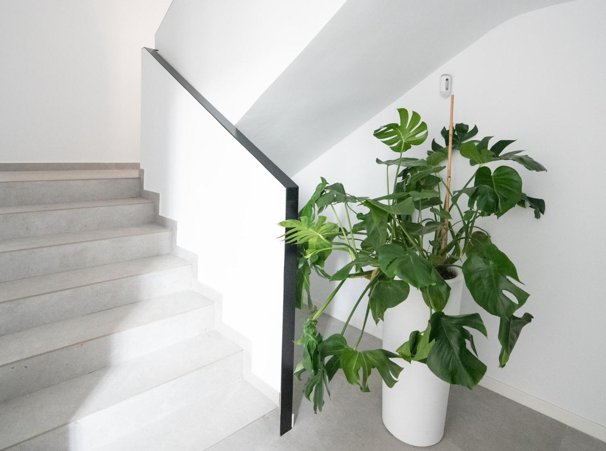 Apartamento Valencia Malvarrosa Dış mekan fotoğraf
